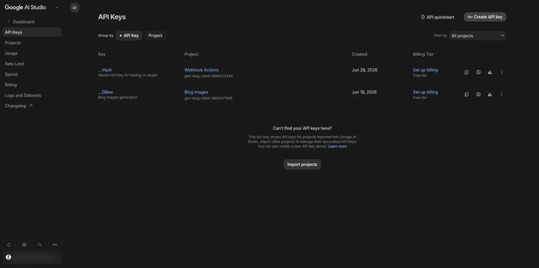 The Get API key screen in Google AI Studio